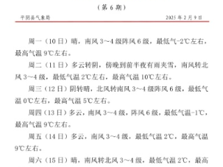 平阴天气预报（平阴天气预报15天查询结果）