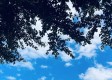 明日济南，晴空与浮云交织，气温回升宜出行
