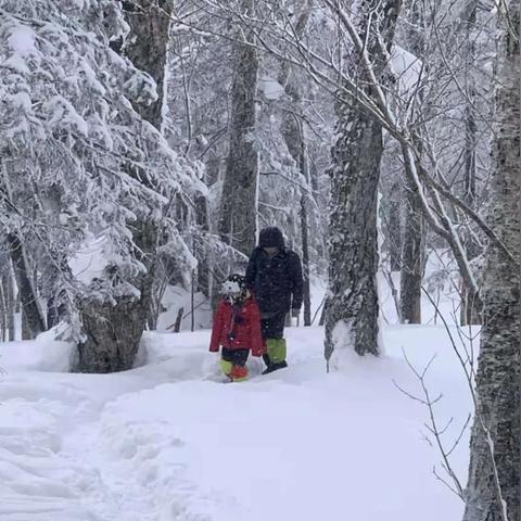 黑龙江伊春天气预报,林海雪原的天气密码,你读懂了吗? 黑龙江伊春天气预报,林海雪原的天气密码,你读懂了吗?