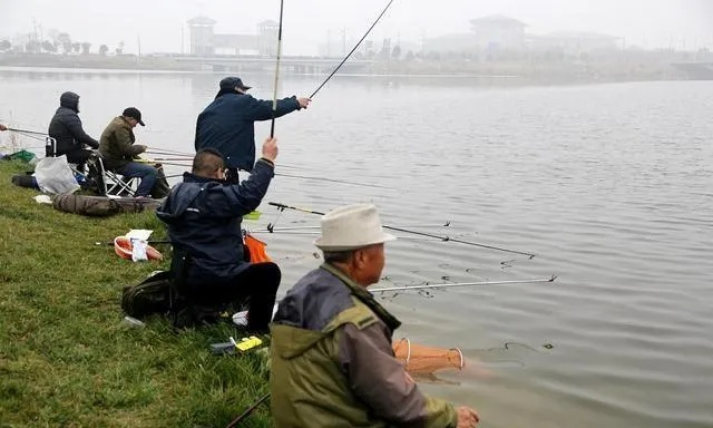 钓鱼天气预报,如何精准把握出钓黄金时机 钓鱼天气预报,如何精准把握出钓黄金时机