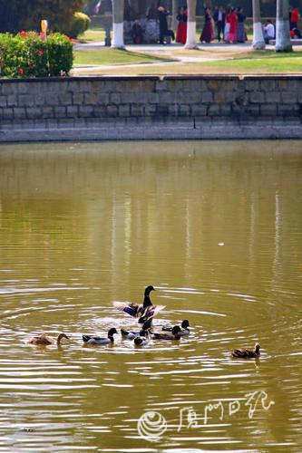 厦门明天天气,晴暖如常,海风轻拂宜出行 厦门明天天气,晴暖如常,海风轻拂宜出行