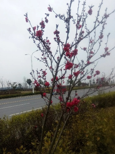 宜城天气预报,古城风韵与气象变幻的交响曲 宜城天气预报,古城风韵与气象变幻的交响曲