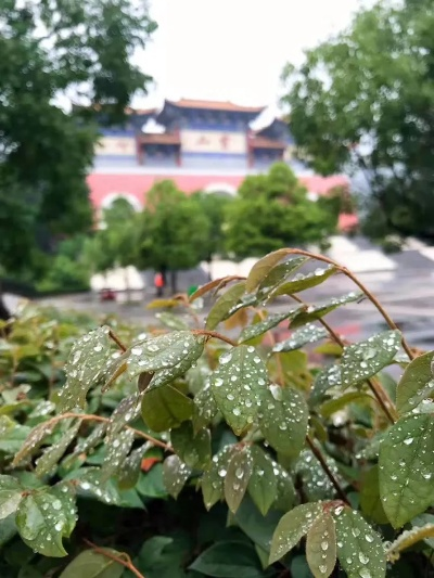 桐柏山雨,一场关于天气的叙事 桐柏山雨,一场关于天气的叙事