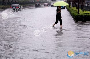 浙江即将迎最强降雨,暴雨来袭,这些准备你做好了吗? 浙江即将迎最强降雨,暴雨来袭,这些准备你做好了吗?
