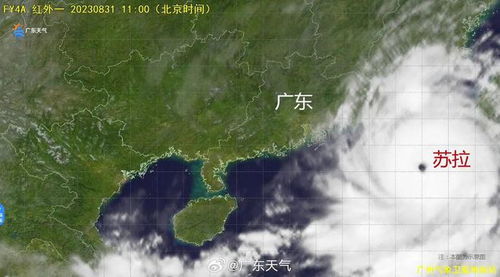 惠东天气预报，山海之间的气候密码与生活指南