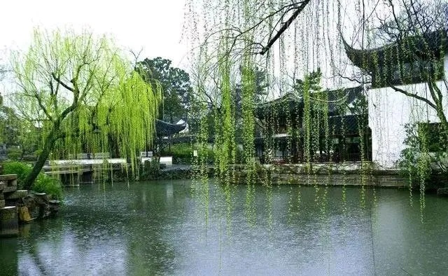 苏州一周天气展望，烟雨朦胧中，春日渐入佳境