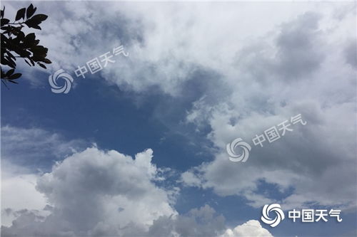 沈阳的天气,四季分明,冷暖人间 沈阳的天气,四季分明,冷暖人间