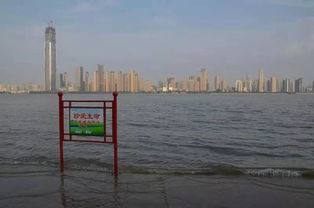 大连未来15天天气预报,海滨城市的天气过山车即将开启 大连未来15天天气预报,海滨城市的天气过山车即将开启