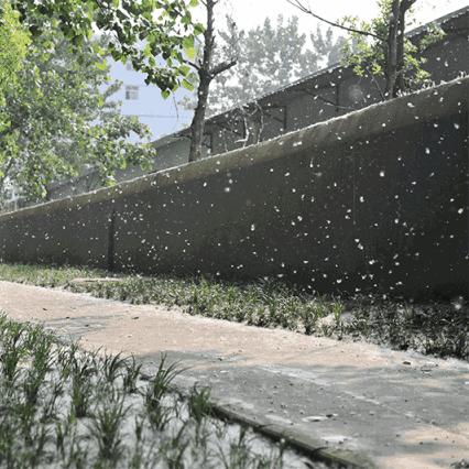 明天几点下雨