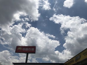 明天预计几点下雨？一场与时间的温柔较量