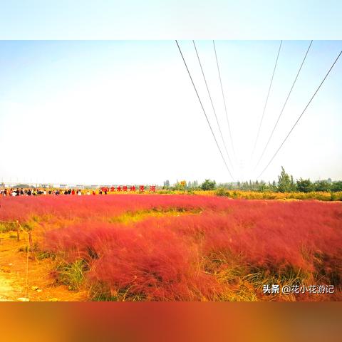 自动更新天气预报下载，让天气信息主动跑进你的生活